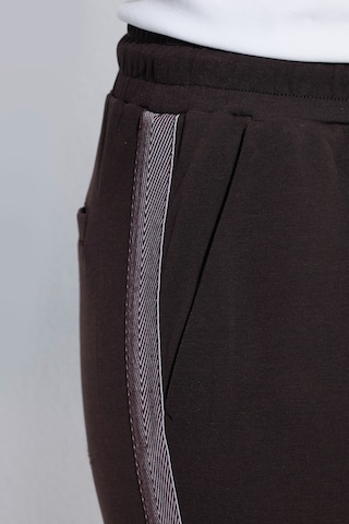 Ulla Popken Regular Pants in Brown