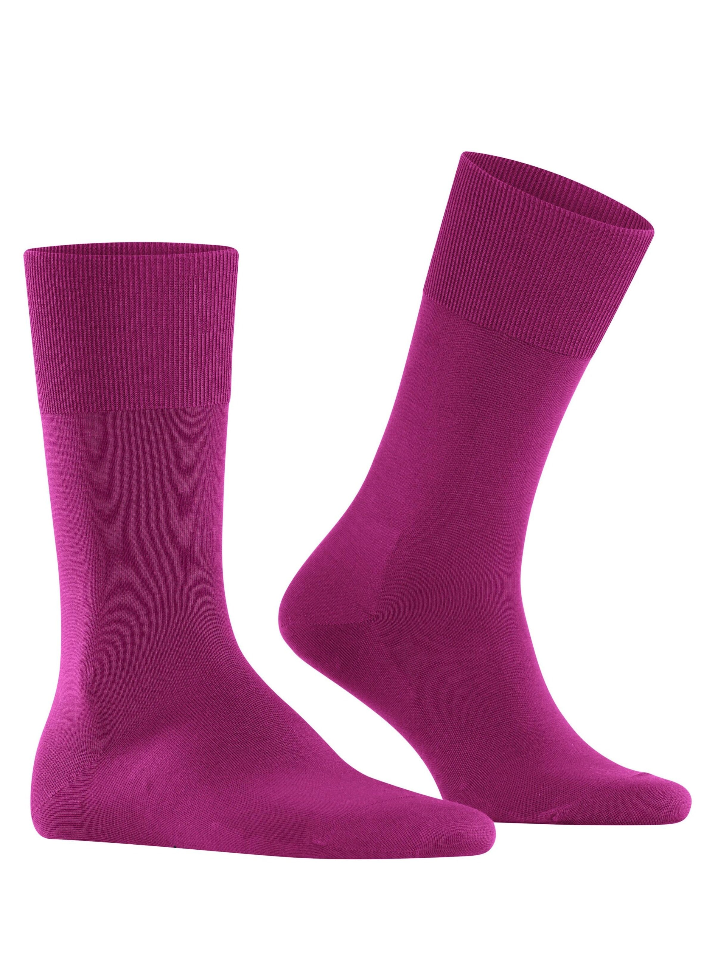 FALKE Socks 'ClimaWool' in Purple