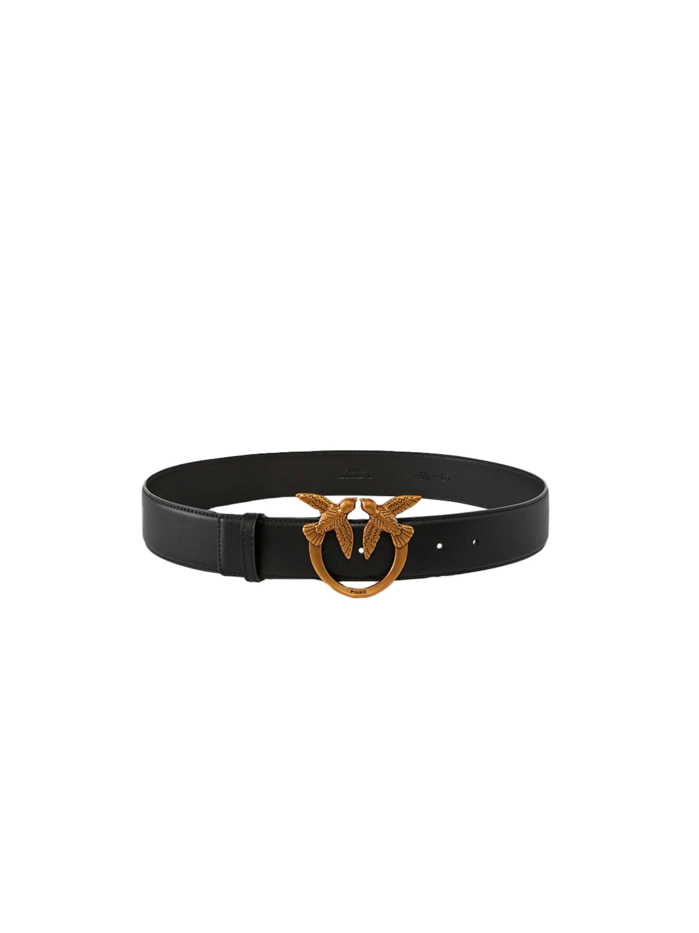 PINKO Belt '100120 A0F1 PE26' in Black: front