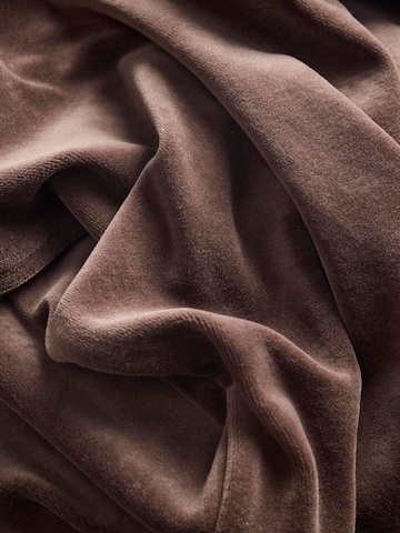 JJXX - regular Pantalón 'JXSNOOKIE' en marrón