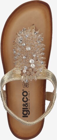 IGI&CO T-Bar Sandals in Gold