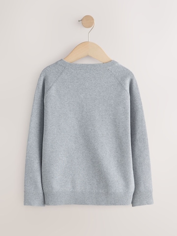 Next Sweater in Grey