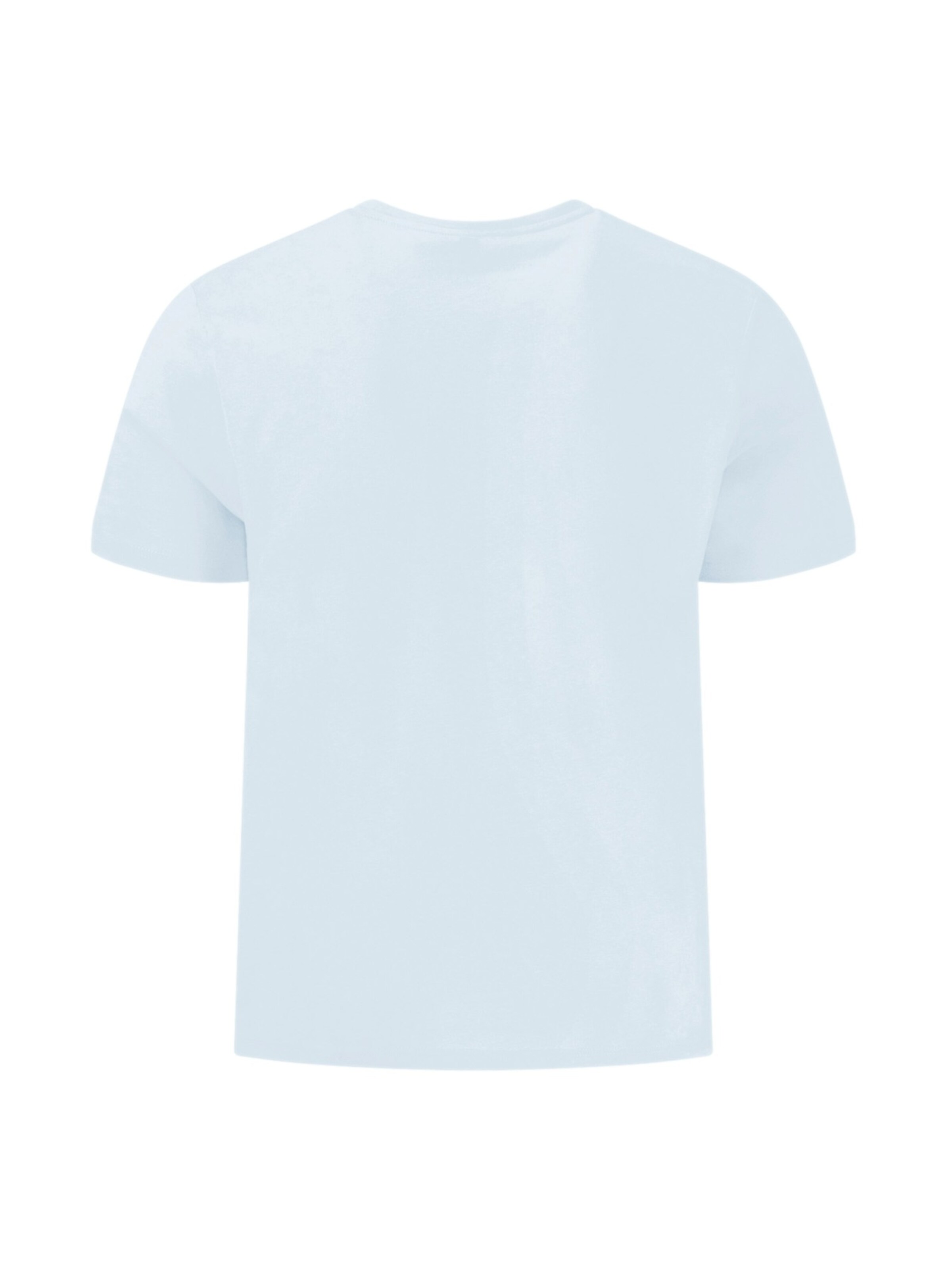 FYNCH-HATTON T-Shirt in Blau