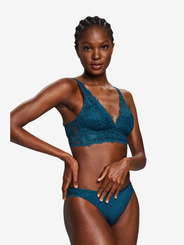 ESPRIT Slip in Blau: predná strana