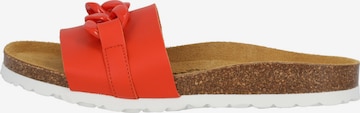 Palado Pantolette 'Gozo' in Orange: Vorderseite