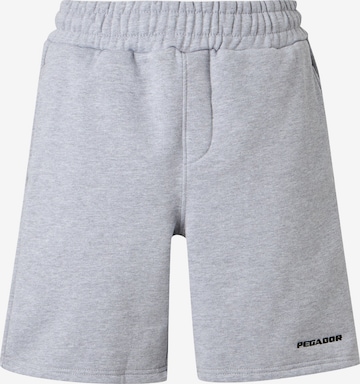 Pegador Trousers in Grey: front