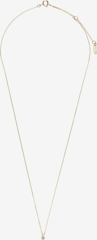 ANIA HAIE Necklace in Gold: front