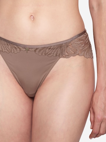 Slip ' Charming ' JOOP! en marron