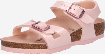 BIRKENSTOCK Sandals 'Rio' in Pink: front