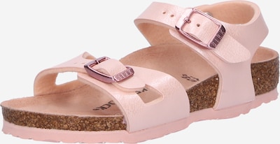 BIRKENSTOCK Σανδάλι 'Rio' σε ρόδινο, Άποψη προϊόντος