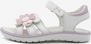 PRIMIGI Sandals 'Alanis' in White