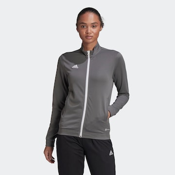 Vestes d’entraînement 'Entrada 22' ADIDAS SPORTSWEAR en gris : devant