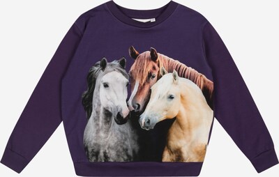 Molo Camiseta 'Regine' en arena / marrón / gris / lila oscuro, Vista del producto