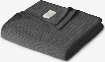 Cradle Studio Blankets in Grey: front