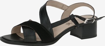 CAPRICE Sandals in Black: front