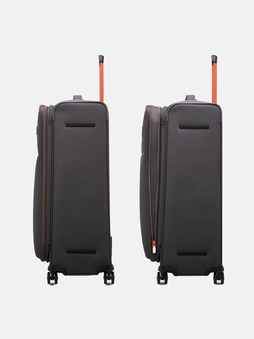 Roncato Trolley in Grijs