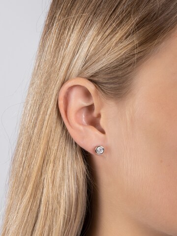 Joanli Nor Earrings 'HANNANOR' in Silver: front