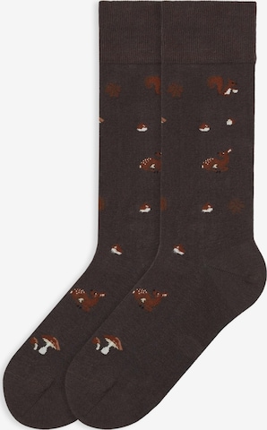 Von Jungfeld Socks 'Herbst ICONS' in Brown: front