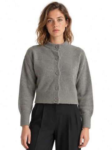 Viorna Knit cardigan 'Strickjacken' in Grey: front
