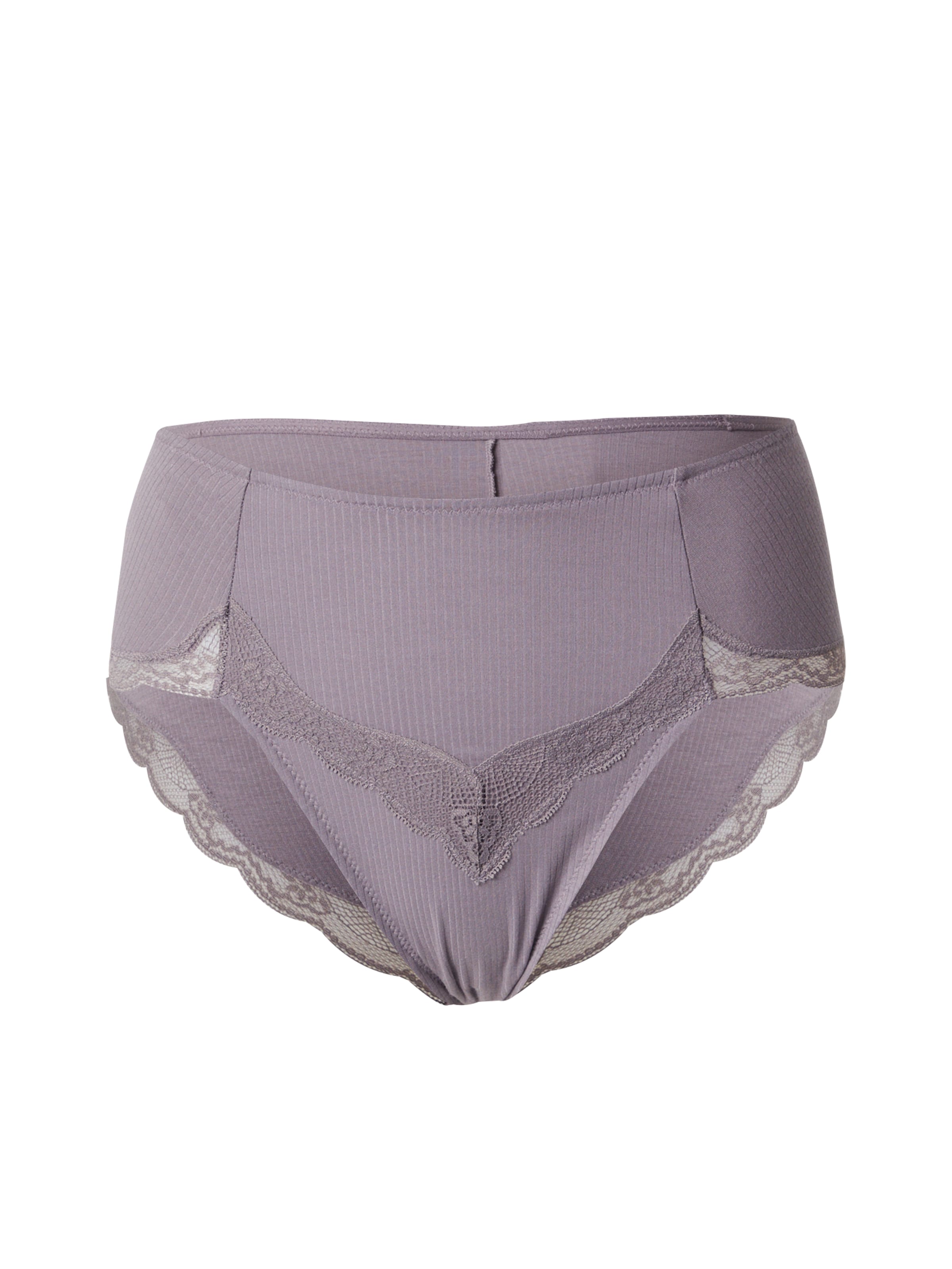 TRIUMPHSlip 'Natural Spotlight' - siva boja: prednji dio