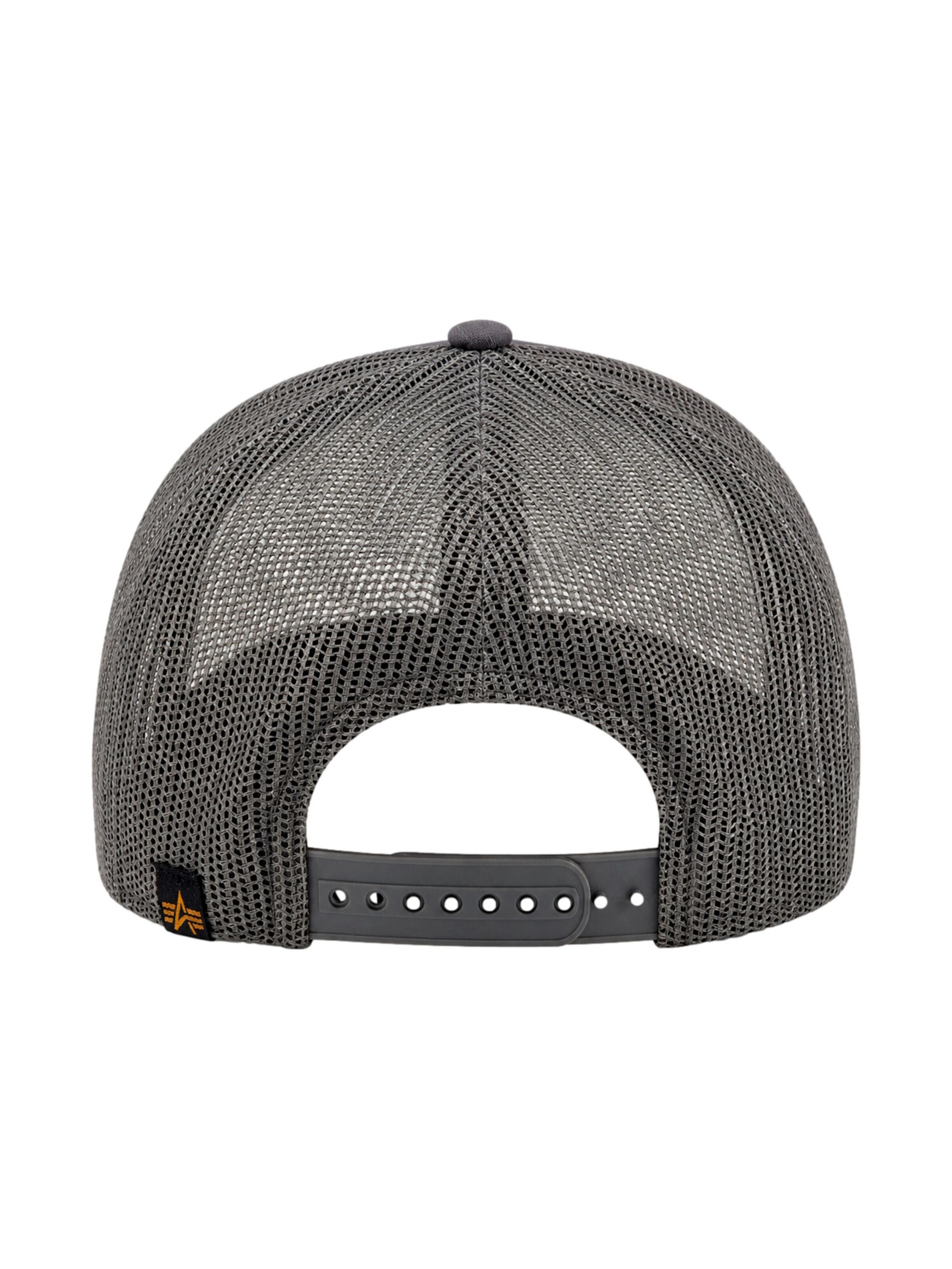 ALPHA INDUSTRIES Cap in Grey