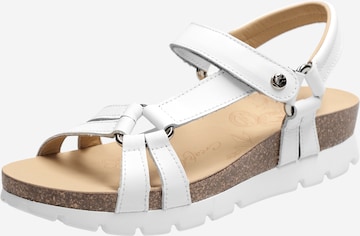 PANAMA JACK Sandals 'Sally' in White: front