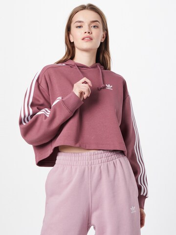 ADIDAS ORIGINALS Sweatshirt in Bruin: voorkant