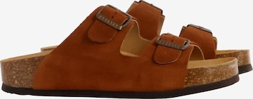 Plakton Pantolette in Braun: Vorderseite