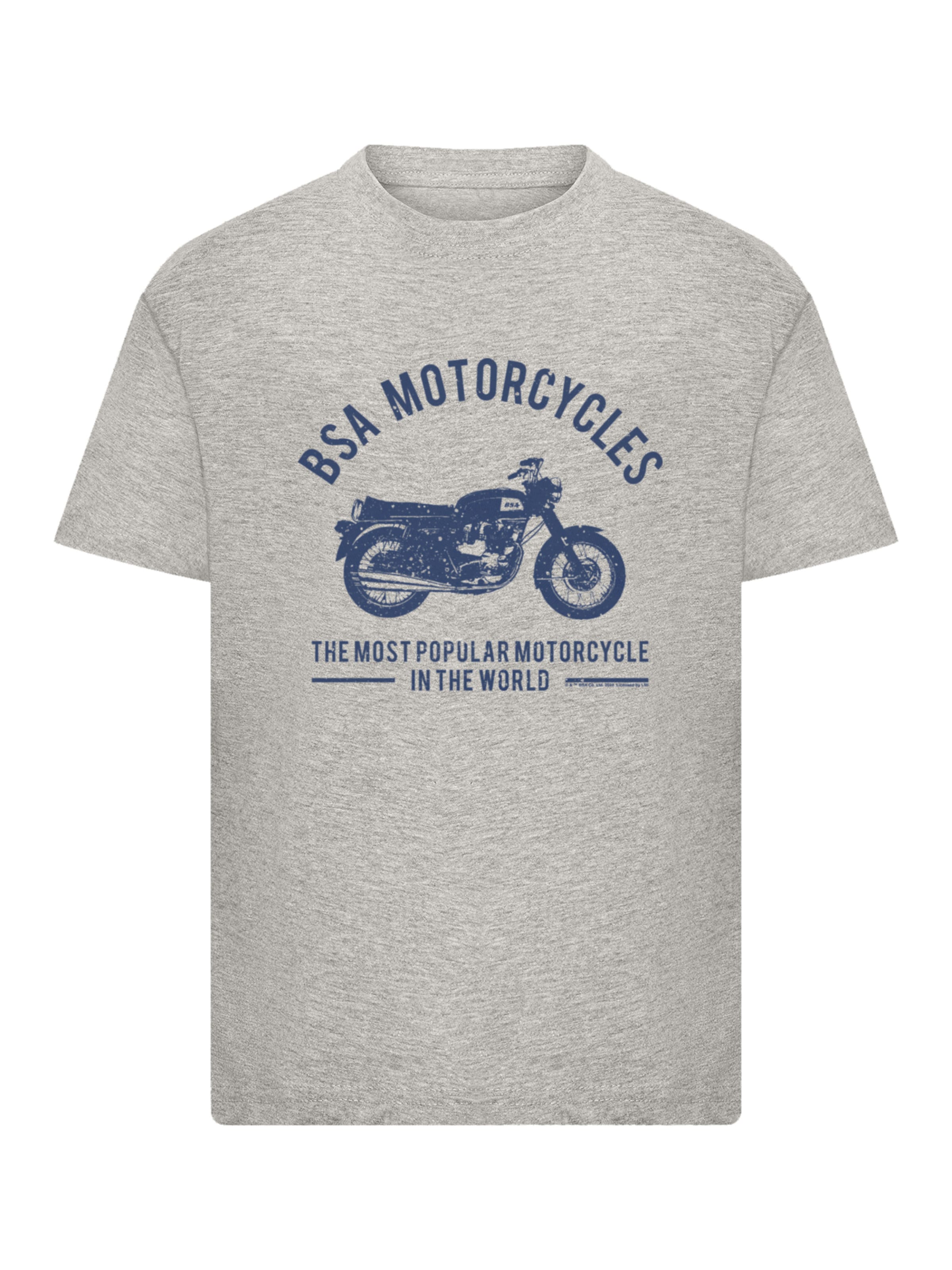 T-Shirt F4NT4STIC en gris : devant