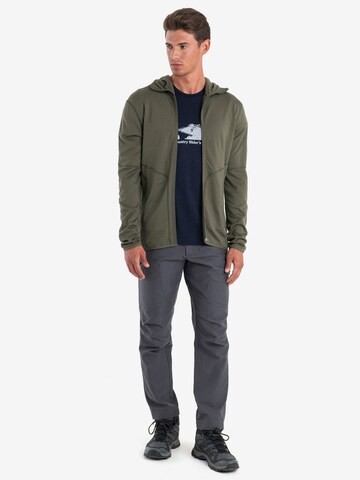 ICEBREAKER Zip-Up Hoodie 'Mer 560 Realfleece EleMtal II' in Green