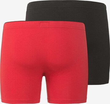 Götzburg Boxer shorts in Red