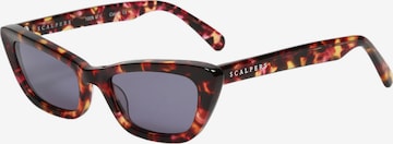 Scalpers Sunglasses in Brown: front