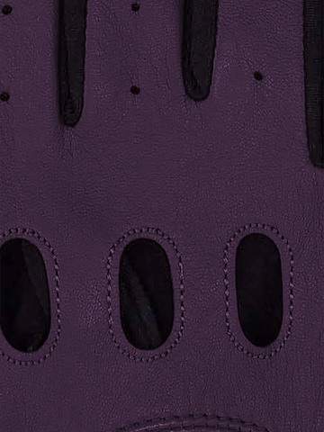KESSLER Full Finger Gloves in Purple