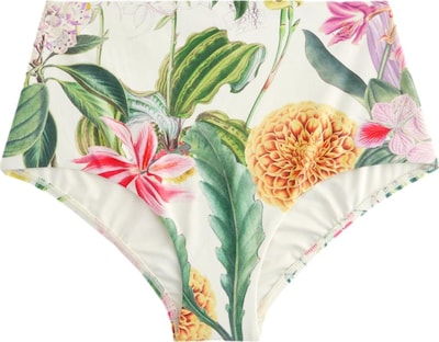 Bikinio kelnaitės iš Next, spalva – kremo / žalia / pastelinė violetinė / šviesiai rožinė, Prekių apžvalga