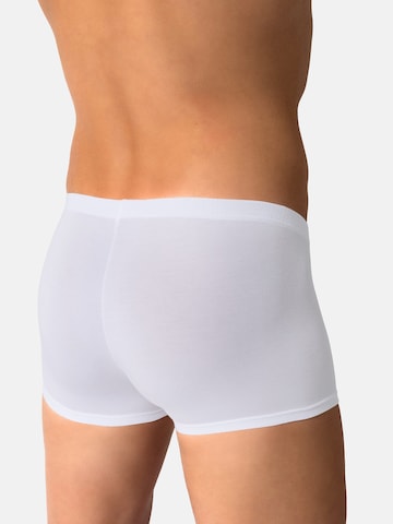 Boxers ' RED2605 Minipants ' Olaf Benz en blanc