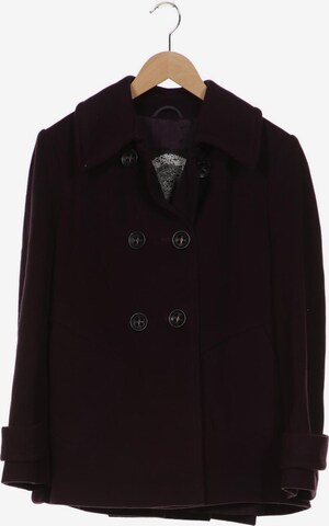 Betty Barclay Jacket & Coat in XL in Purple: front