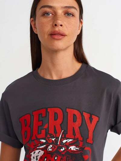 Dilvin T-shirt en S en gris foncé, Vue avec produit