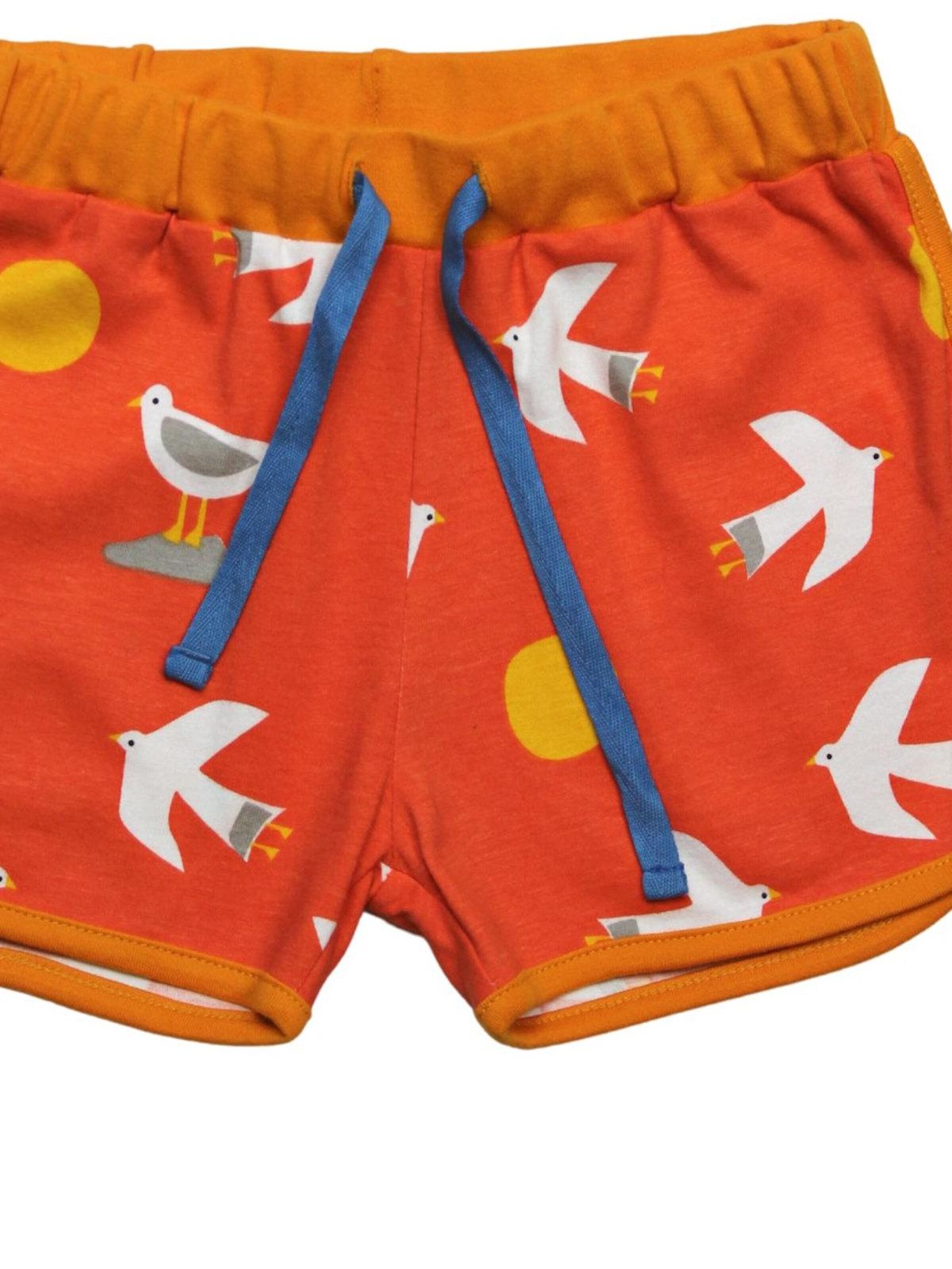 Toby Tiger Regular Pants in Orange