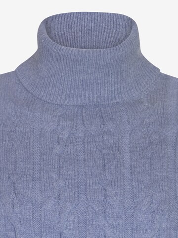 DENIM CULTURE Pullover in Blau