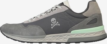 Sneaker bassa 'Harry' di Scalpers in grigio: frontale