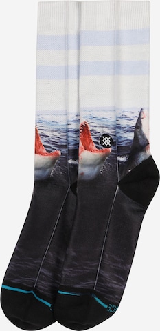 Stance Sportsocken 'LANDLORD' in Blue: front