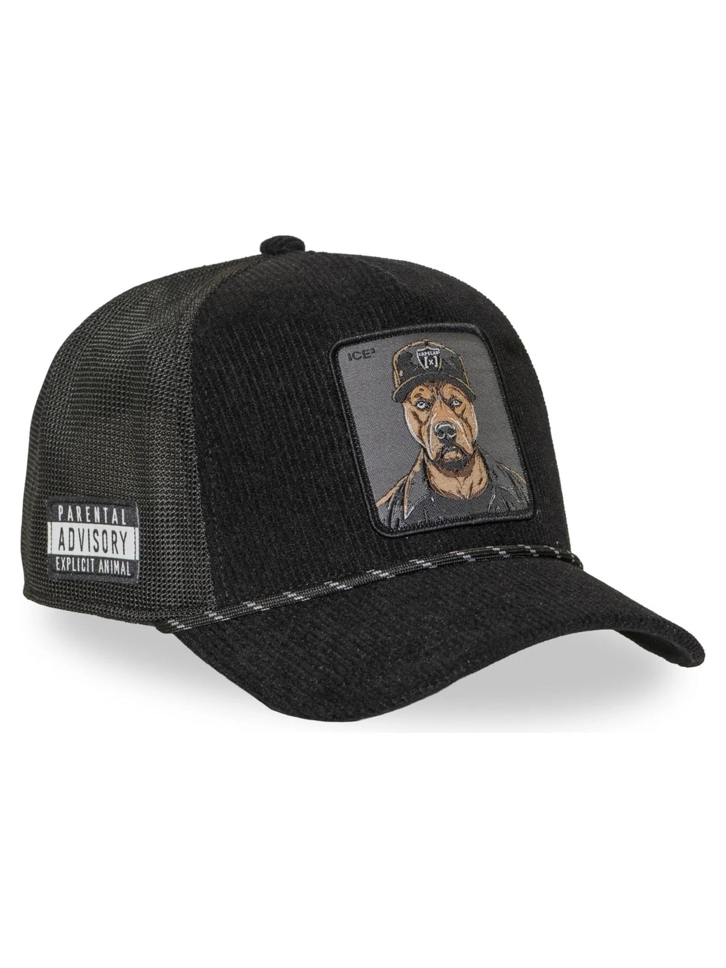 Capslab - Gorra 'Gorra capslab negra pana ice cube bad trucker cap' en negro