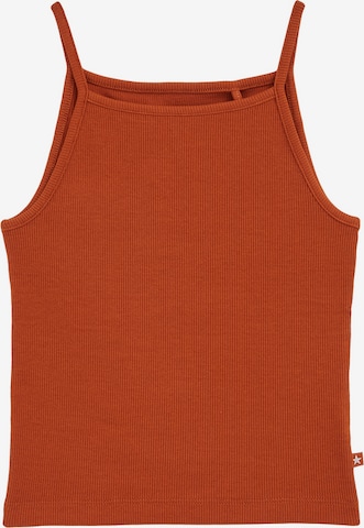 WE Fashion Toppi värissä ruskea: etupuoli