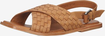 SHABBIES AMSTERDAM Sandals in Brown: front