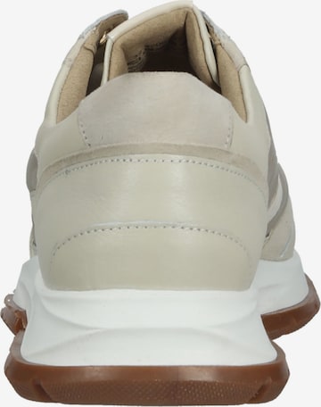 SALAMANDER Sneakers laag in Beige