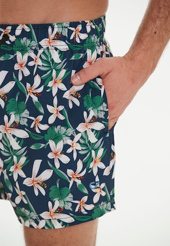 Cruz Board Shorts 'Obi Van' in Green