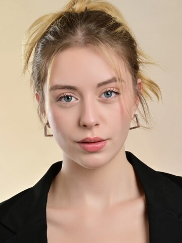 Akzent Earrings 'wasserfest' in Silver: front