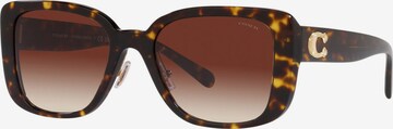 Lunettes de soleil COACH en marron : devant