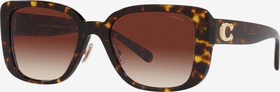 COACH Saulesbrilles, krāsa - karameļkrāsas / tumši brūns, Preces skats