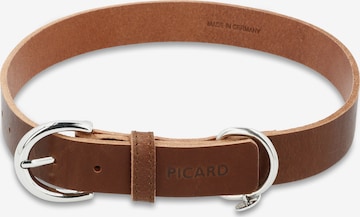 Picard Hundehalsband 'Strolch' in Braun: predná strana